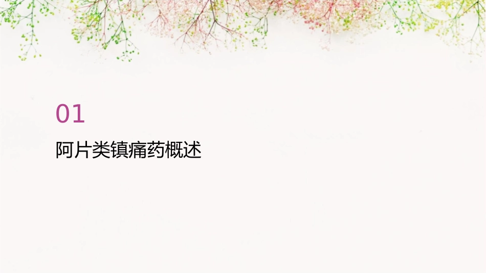 阿片类镇痛药及其拮抗剂课件_第3页