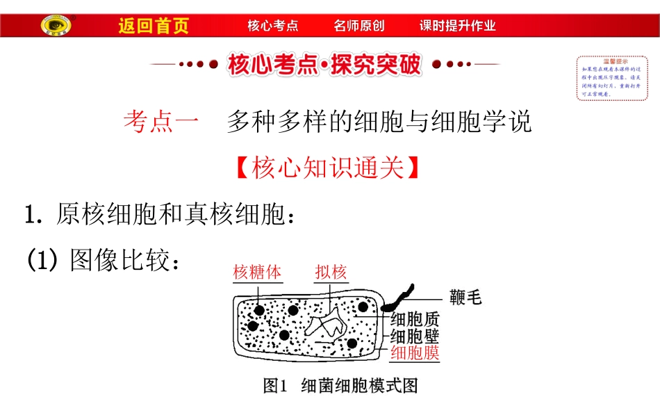 必修1第一单元第1讲走近细胞详解_第3页