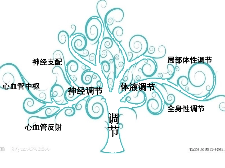 心血管活动调节幻灯片_第2页