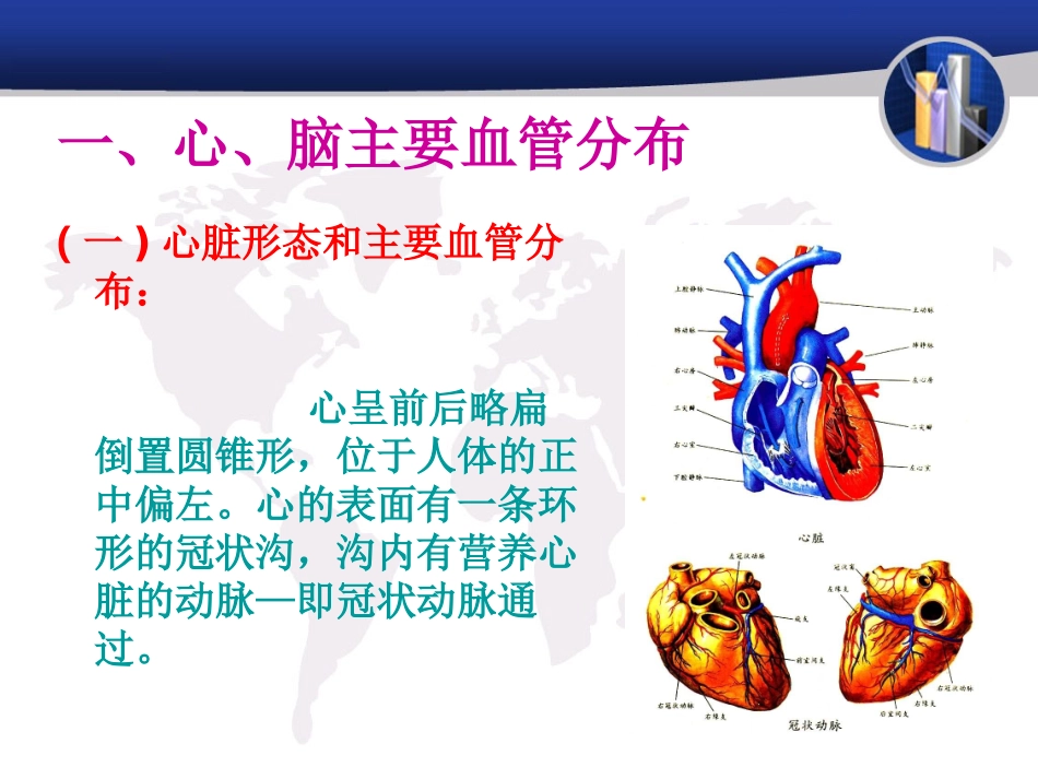 心脑血管、常见疾2_第3页