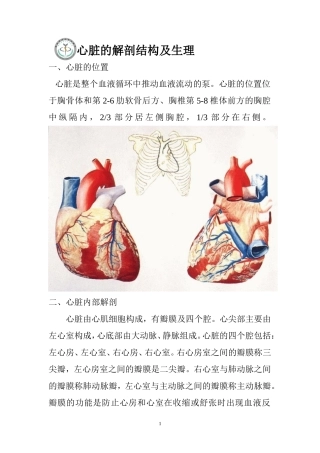 心脏的解剖结构及生理(含彩图)