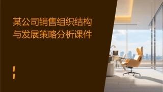 某公司销售组织结构与发展策略分析课件