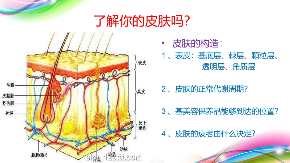 微针美疗16_第2页