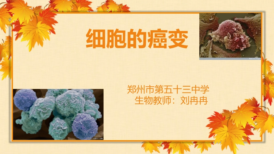 微课细胞的癌变_第1页