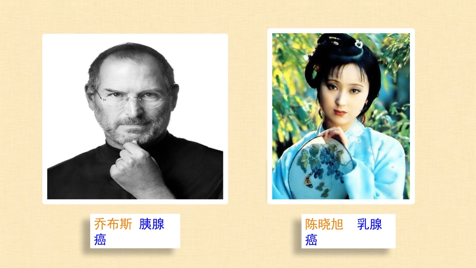 微课细胞的癌变_第2页