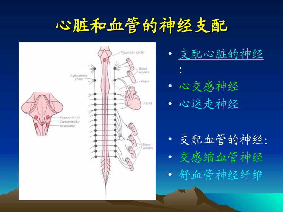 循环生理-心血管活动的调节_第3页