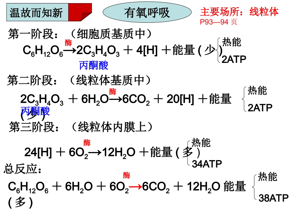 影响细胞呼吸的因素详解_第2页