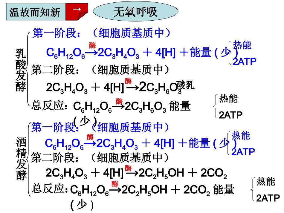 影响细胞呼吸的因素详解_第3页