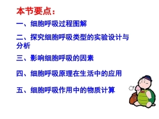 影响细胞呼吸作用的因素