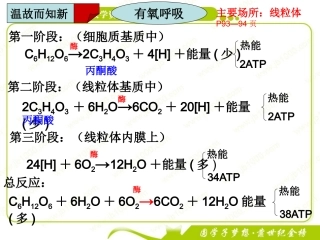 影响细胞呼吸的因素讲课