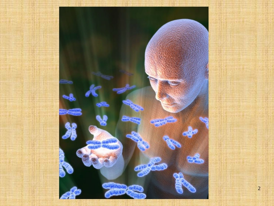 影专-第六章-外科休克_第2页