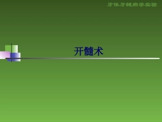 形牙体牙髓病学试验