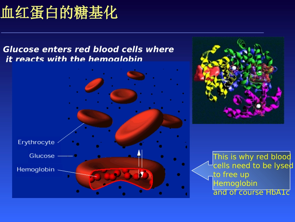 强化血糖达标的十个步骤_第3页