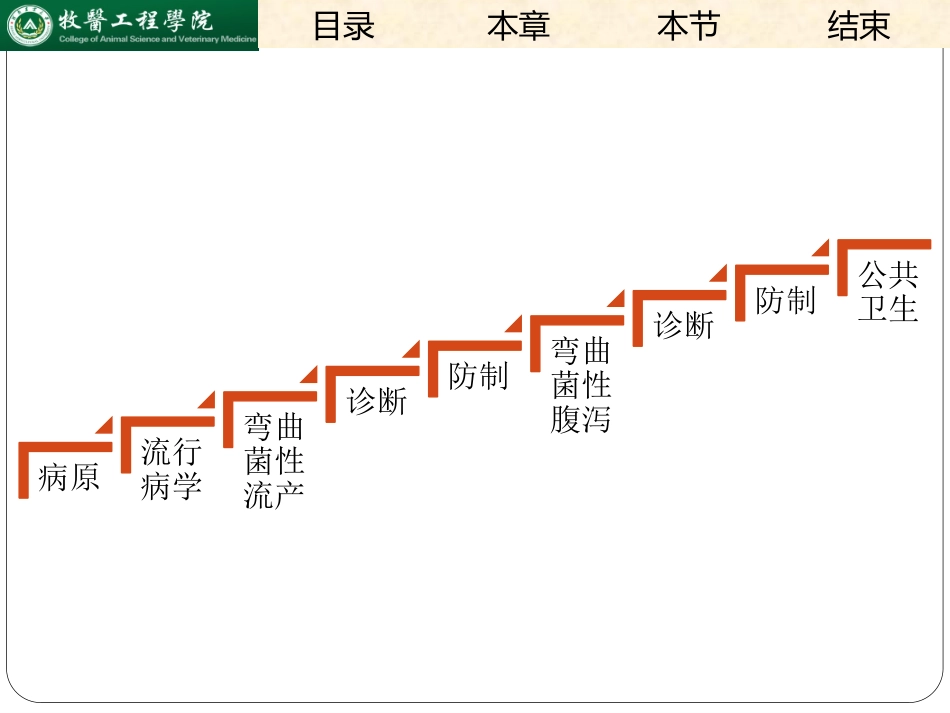 弯曲杆菌病._第2页