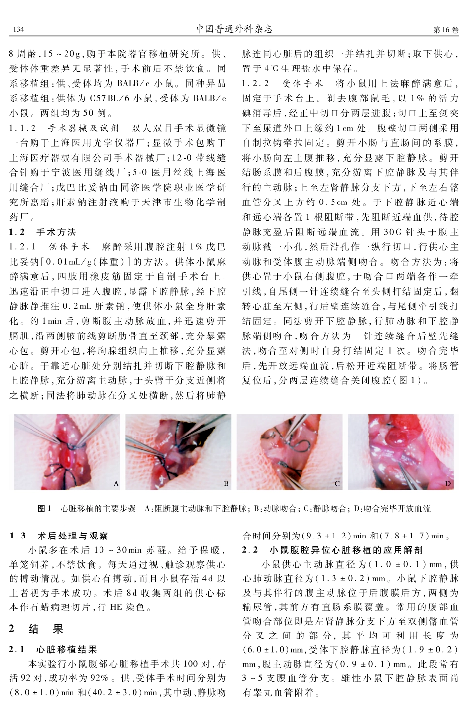 建立小鼠腹部心脏移植模型的体会_第2页