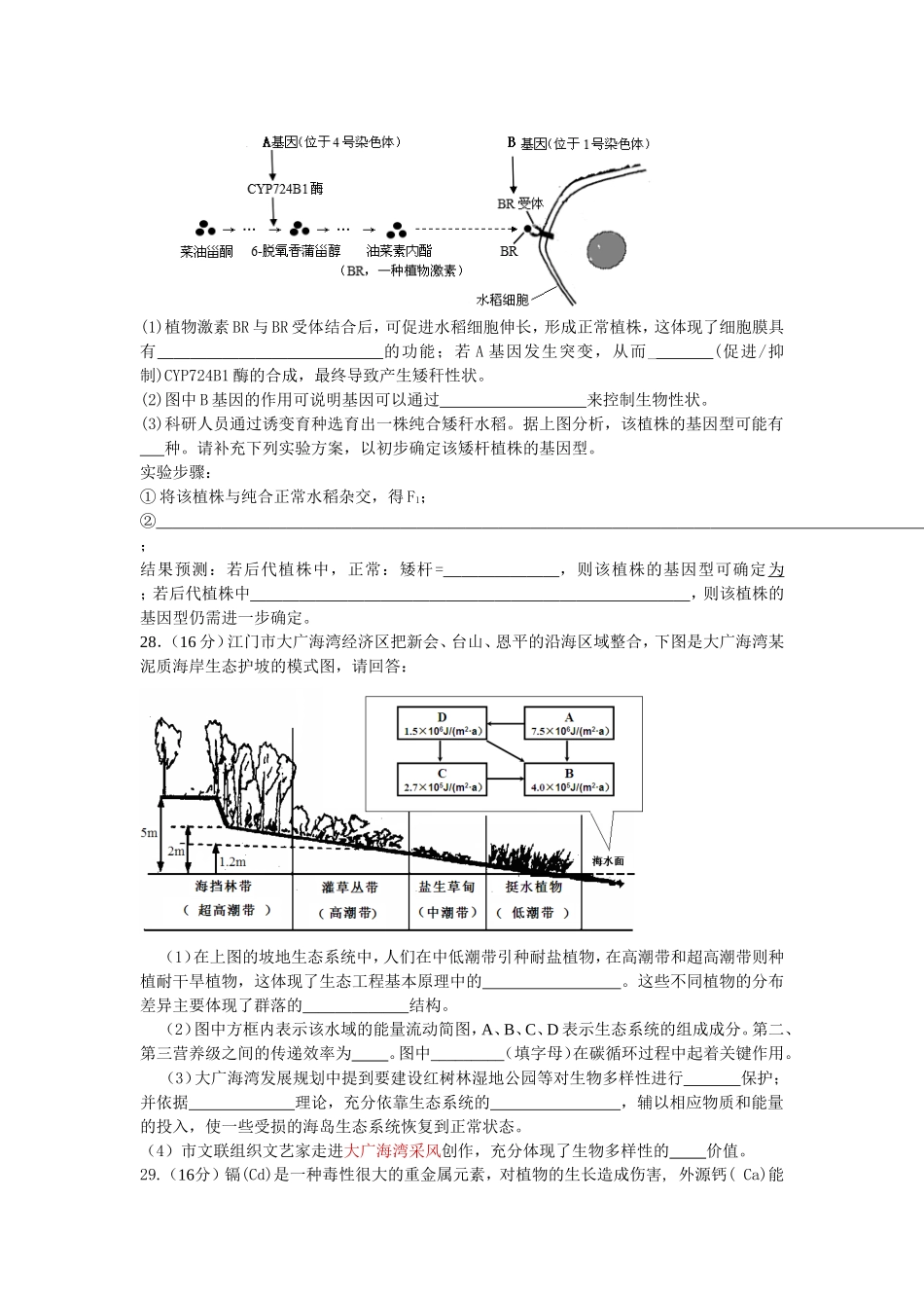 广东省江门市2015届高三3月模拟考试 理综试卷_第3页