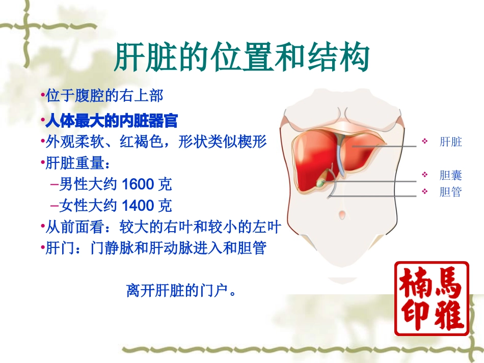 常见肝病用药指导_第3页