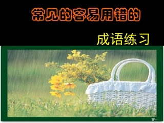 常见的容易用错的 成语练习