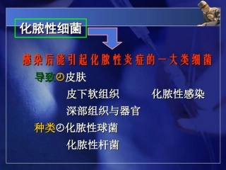 常见病原菌：化脓性细菌-PPT文档