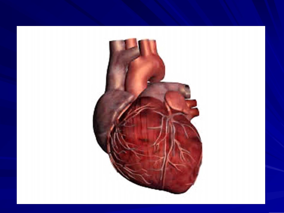 常见心电图的诊断1_第2页