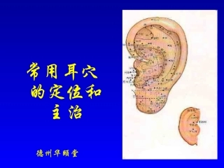 常用耳穴的定位和主治分解