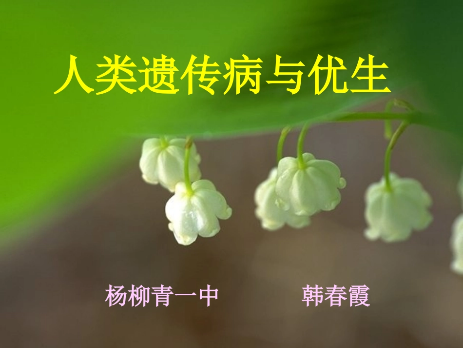 常染色体隐性遗传病_第1页