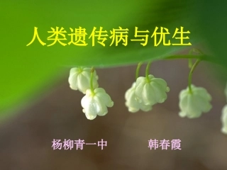 常染色体隐性遗传病