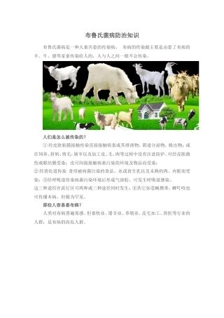 布鲁氏菌病是一种人畜共患的传染病