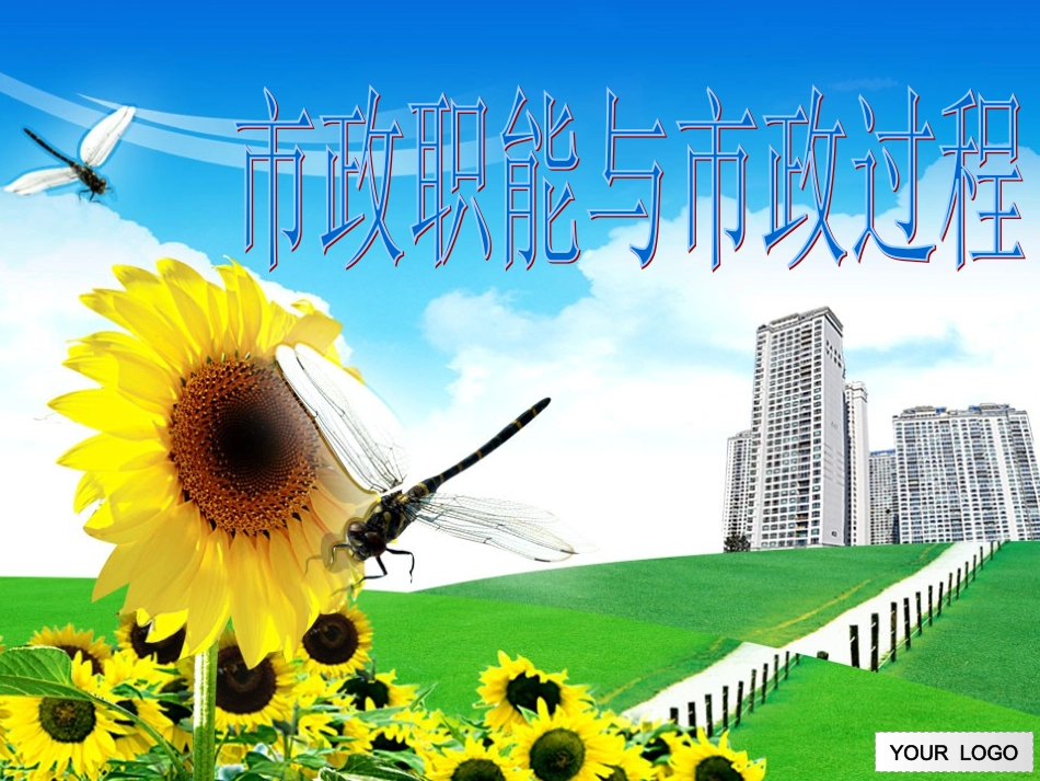 市政职能与市政过程(2013下)_第1页