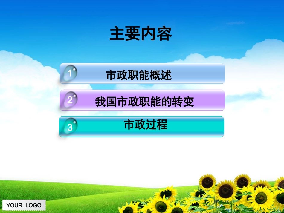 市政职能与市政过程(2013下)_第2页