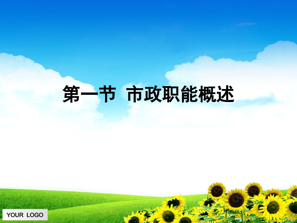 市政职能与市政过程(2013下)_第3页