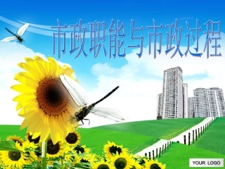 市政职能与市政过程(2013下)