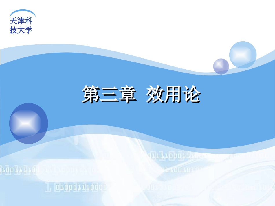 市场学 效用论_第1页
