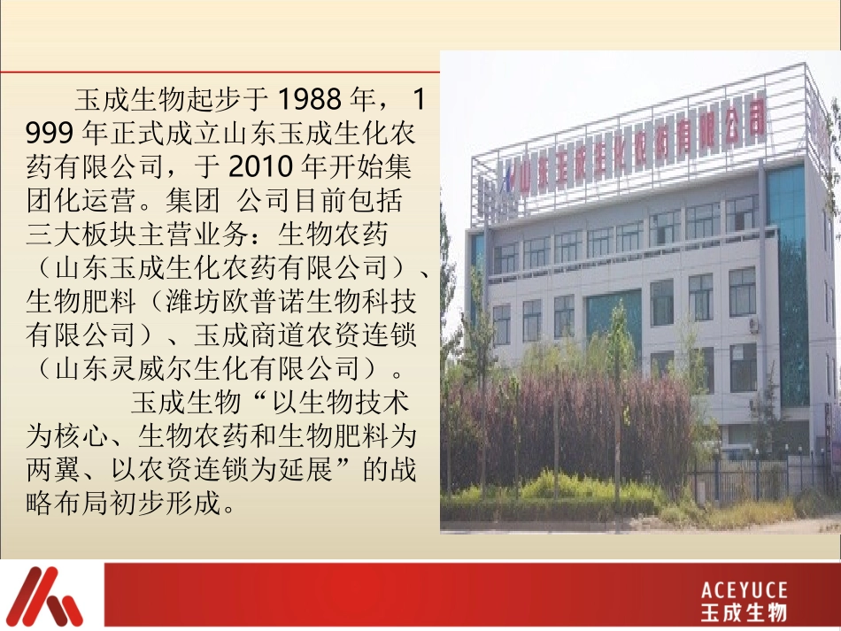 山药123答案_第2页