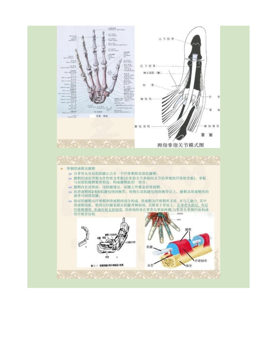 屈指肌狭窄性腱鞘炎解读_第2页