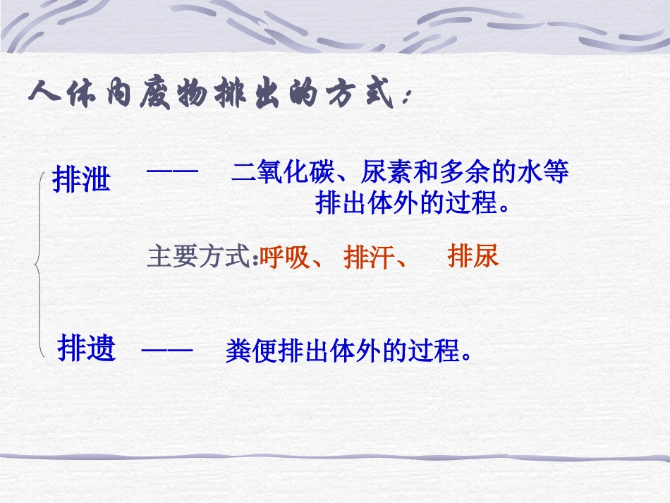 尿的形成和排出_第3页