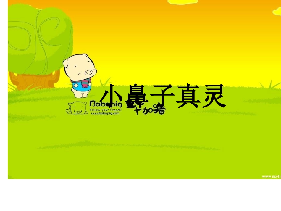 小鼻子真灵动画_第1页