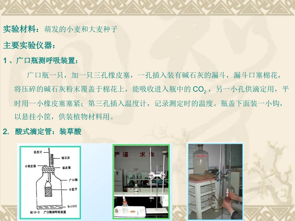 小篮子法测呼吸ppt_第3页