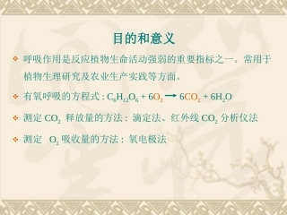 小篮子法测呼吸ppt