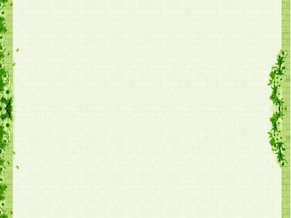 小短尾猿出生后母猿病逝-这只鸽子一直和其相依相伴。_第1页
