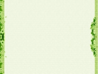 小短尾猿出生后母猿病逝-这只鸽子一直和其相依相伴。