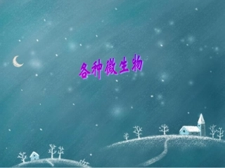 小核和细胞质分裂2次后