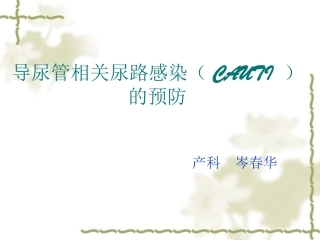 导尿管相关尿路感染2模板