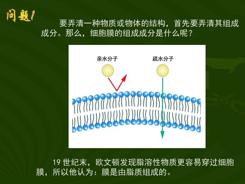 对生物膜结构的探索历程_第2页