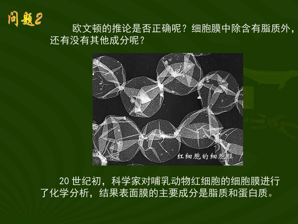 对生物膜结构的探索历程_第3页