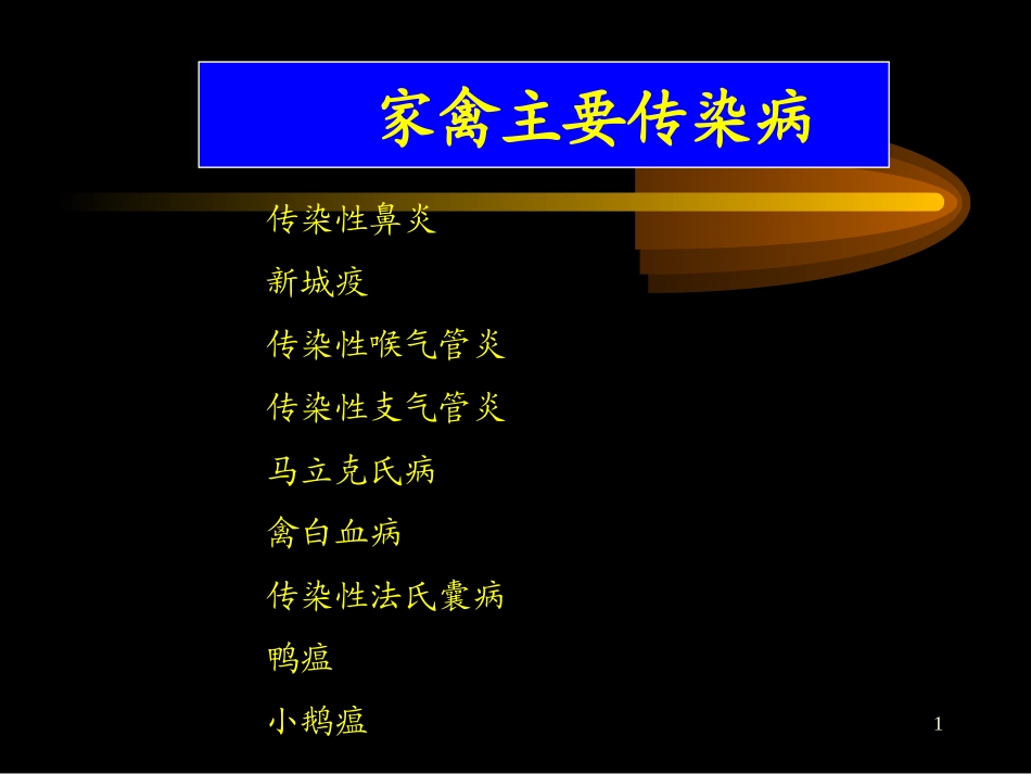 家禽主要传染病_第1页