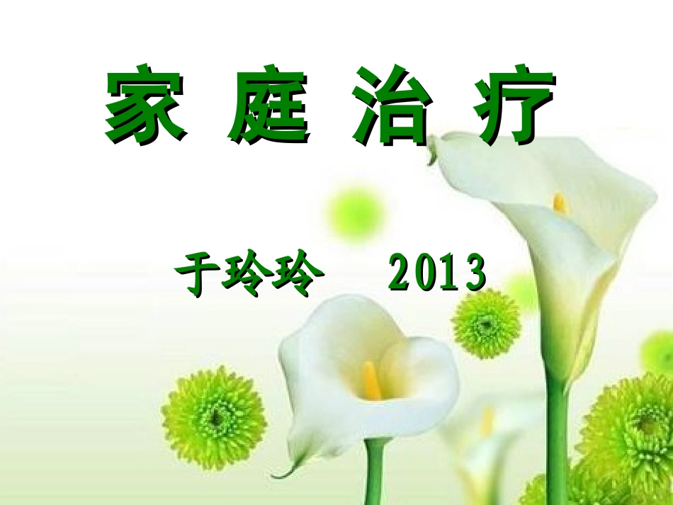 家-庭-治-疗2013剖析_第1页