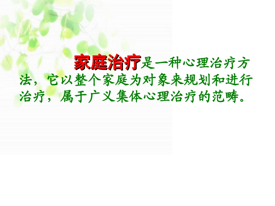 家-庭-治-疗2013剖析_第2页