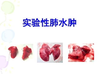 实验性肺水肿.ppt
