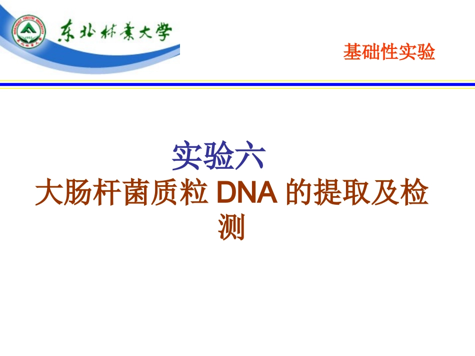 实验六、大肠杆菌质粒DNA的提取与电泳检测_第1页